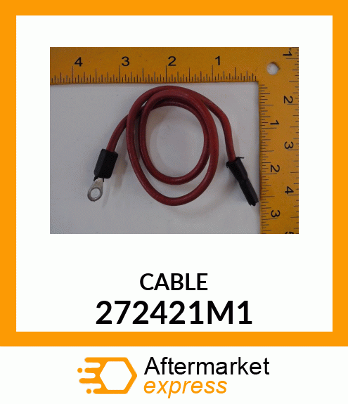 CABLE 272421M1