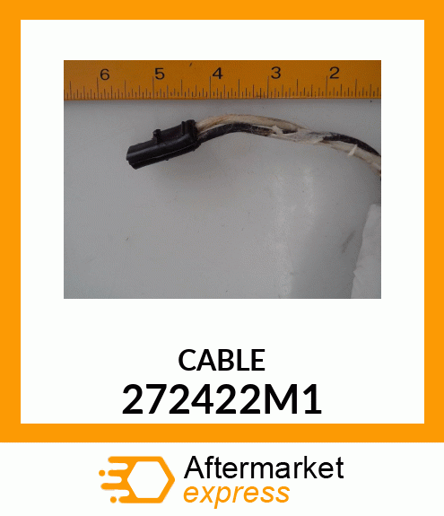 CABLE 272422M1