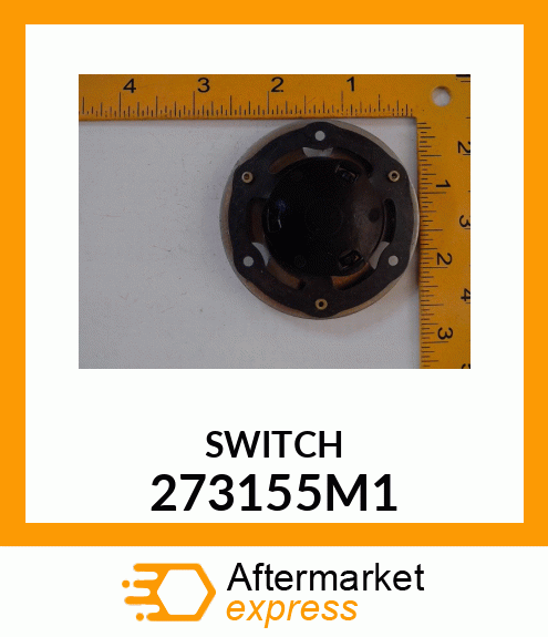 SWITCH 273155M1