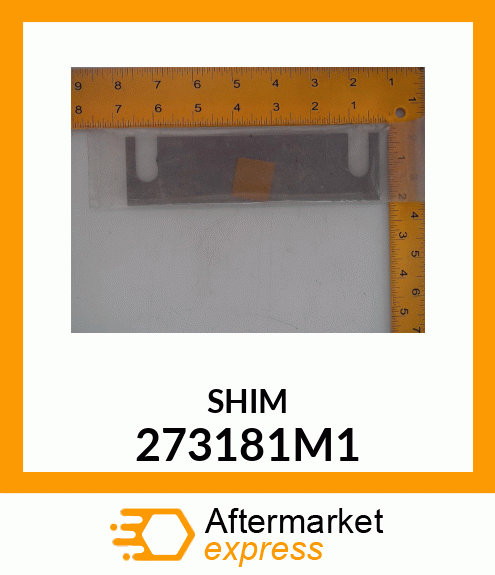 SHIM 273181M1