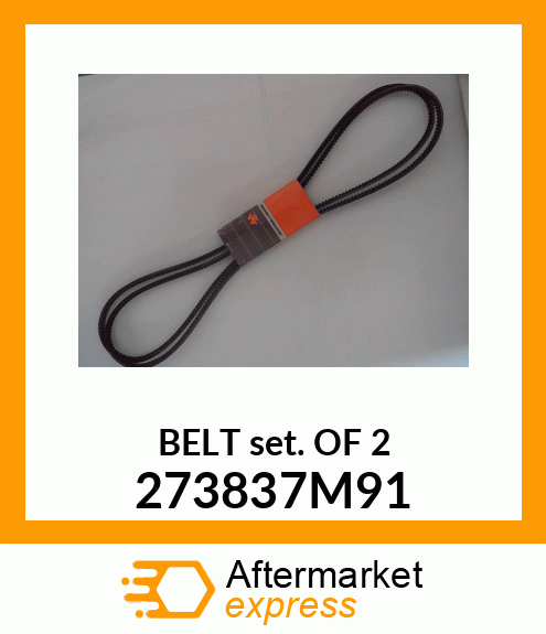 BELTSET/2 273837M91