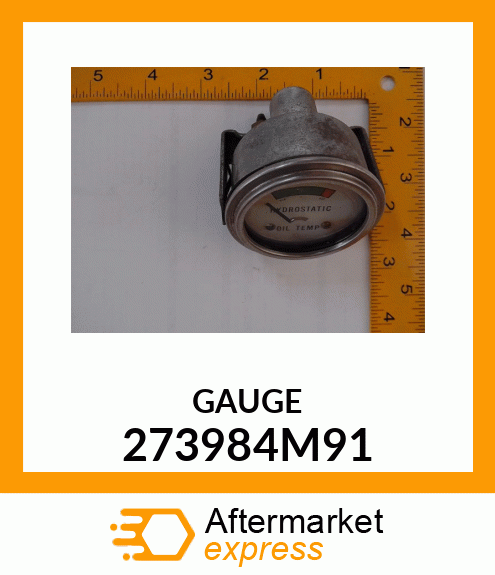 GAUGE 273984M91