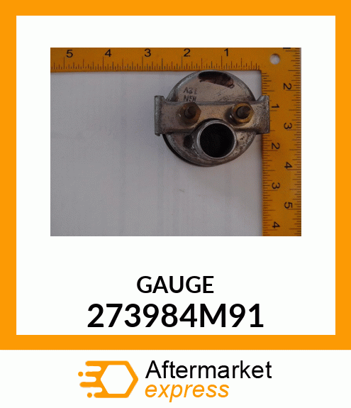 GAUGE 273984M91