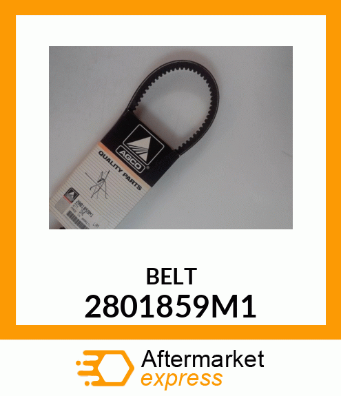 BELT 2801859M1