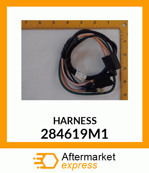 HARNESS 284619M1