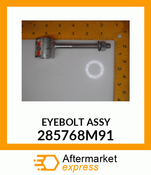 EYEBOLT_ASSY 285768M91