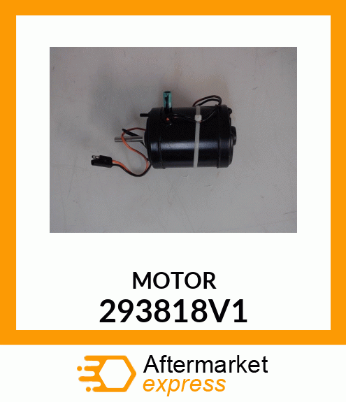 MOTOR 293818V1