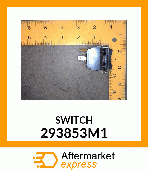 SWITCH 293853M1