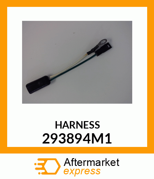 HARNESS 293894M1