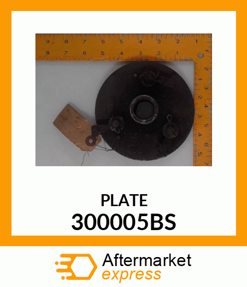 PLATE 300005BS