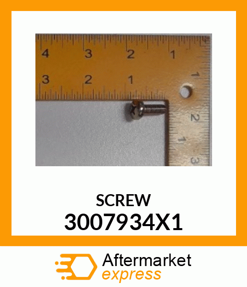 SCREW 3007934X1