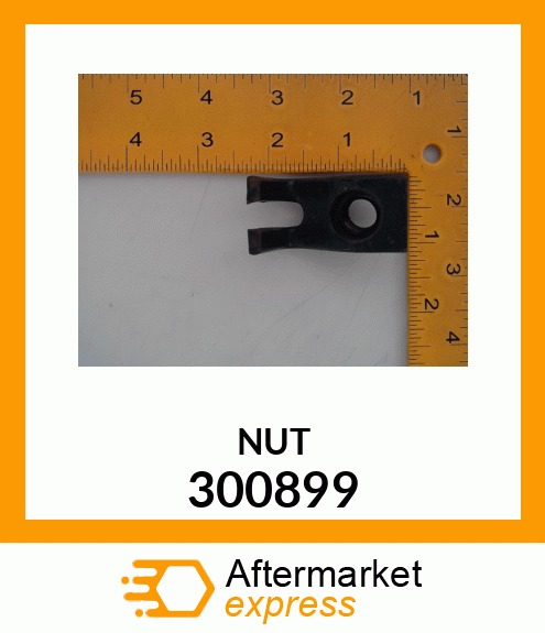 NUT 300899