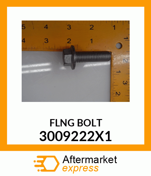 FLNGBOLT 3009222X1