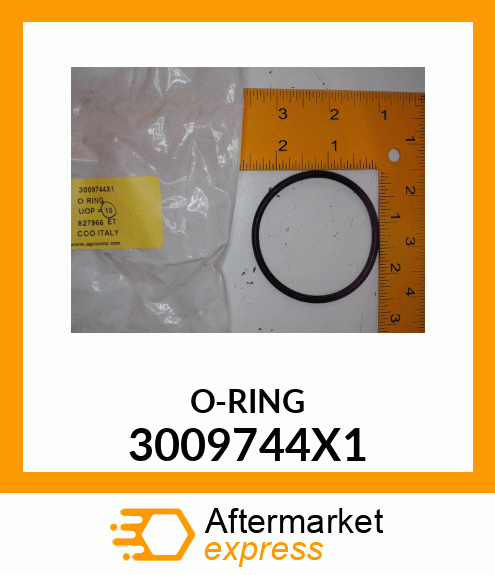 O-RING 3009744X1