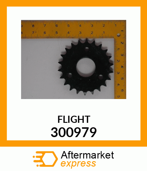 FLIGHT 300979