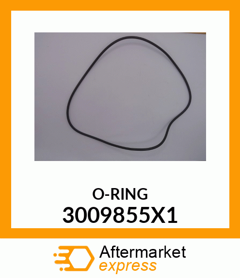 O-RING 3009855X1