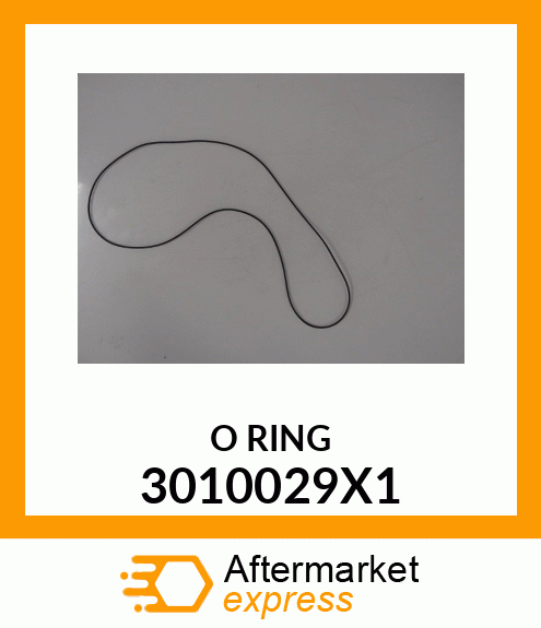 ORING 3010029X1