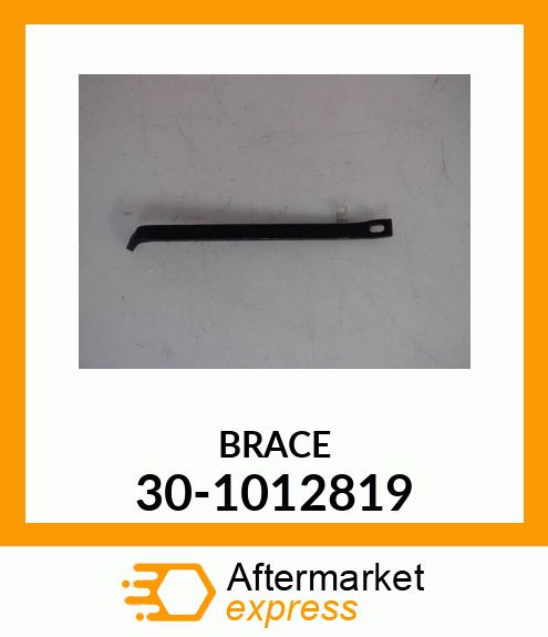 BRACE 30-1012819