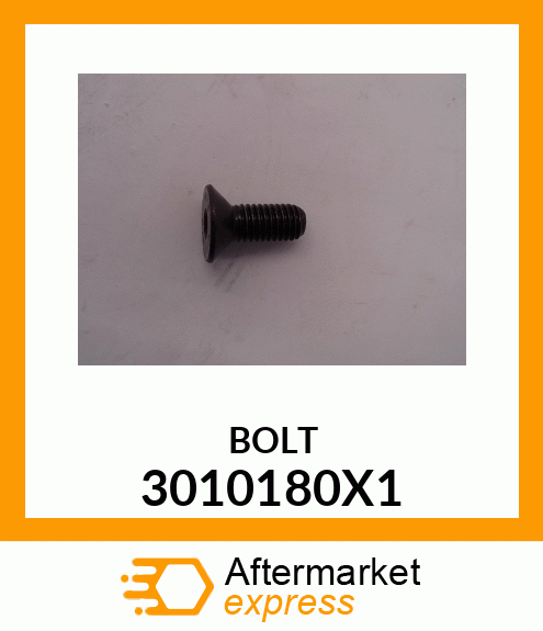 BOLT 3010180X1