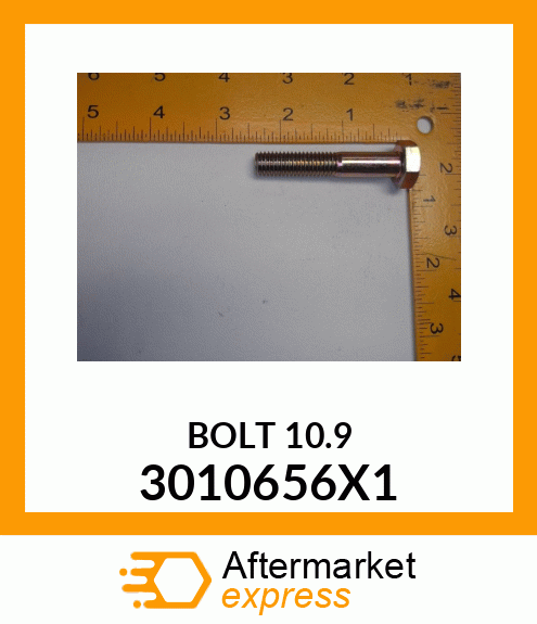 BOLT_10.9 3010656X1