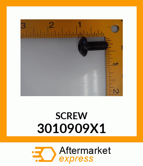 SCREW 3010909X1