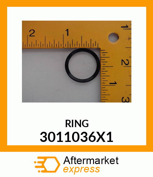 RING 3011036X1