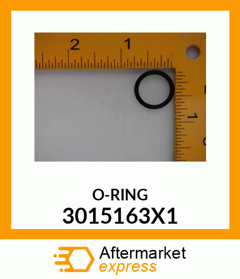 O-RING 3015163X1