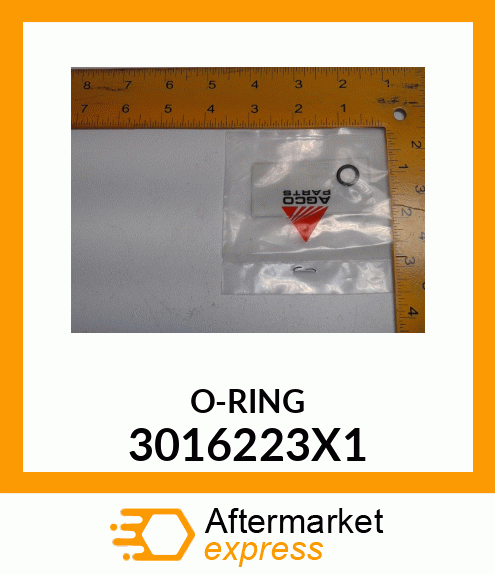 O-RING 3016223X1