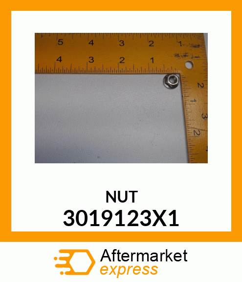 NUT 3019123X1