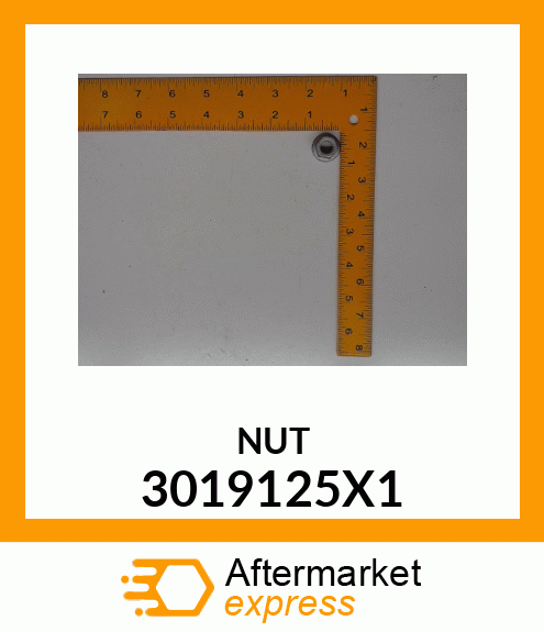 NUT 3019125X1