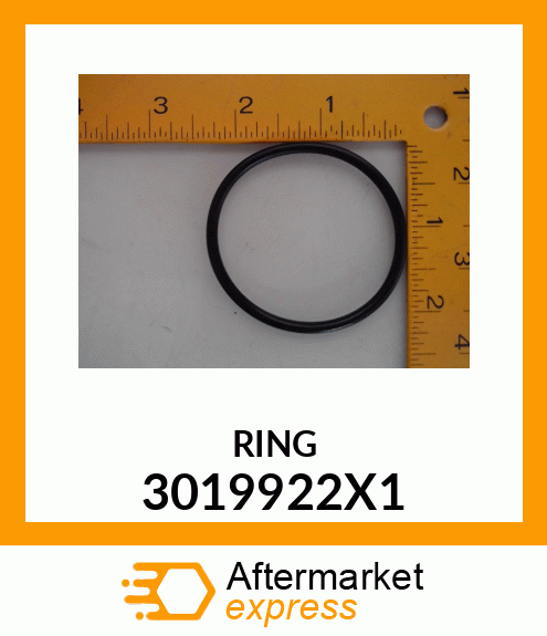 RING 3019922X1