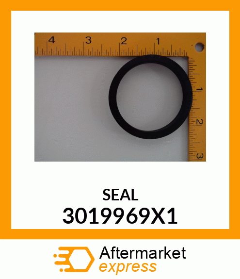 SEAL 3019969X1