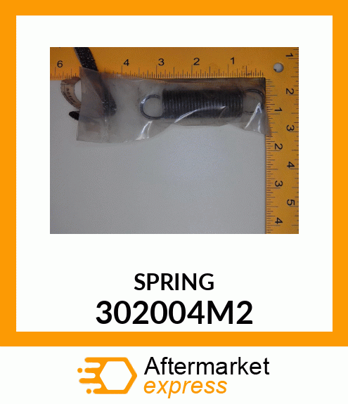 SPRING 302004M2