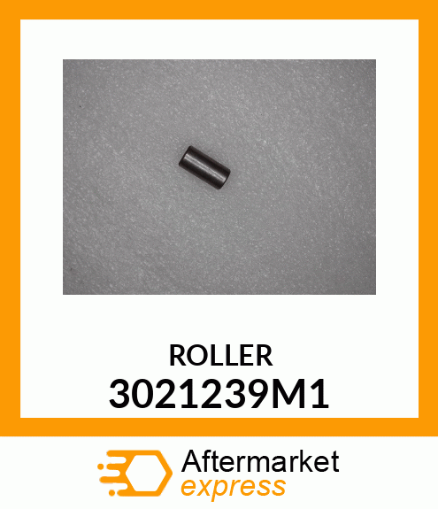 ROLLER 3021239M1