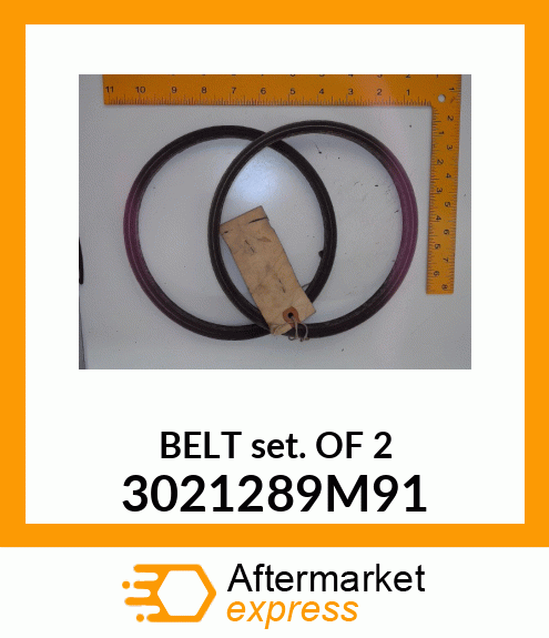 BELTSETOF2 3021289M91