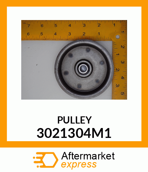 PULLEY 3021304M1