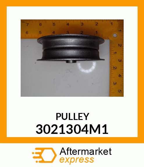 PULLEY 3021304M1