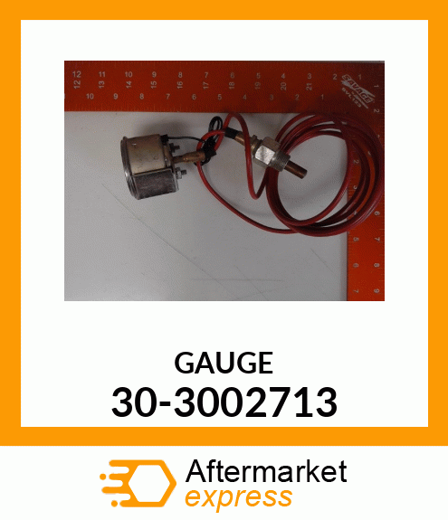 GAUGE 30-3002713