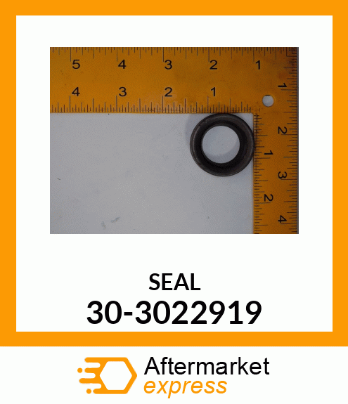 SEAL 30-3022919