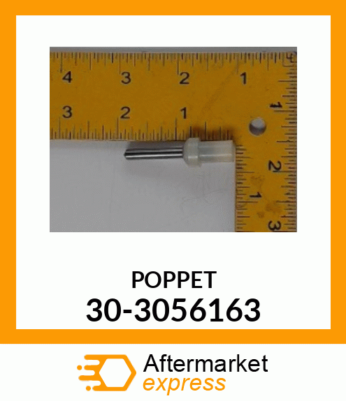 POPPET 30-3056163