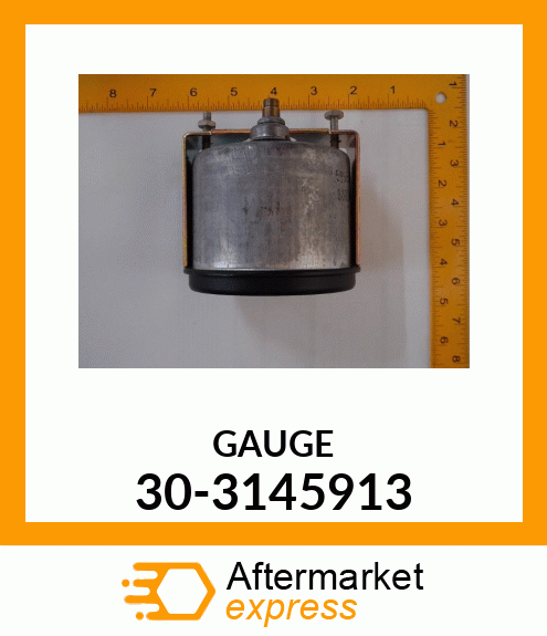 GAUGE 30-3145913