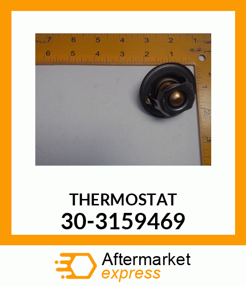 THERMOSTAT 30-3159469