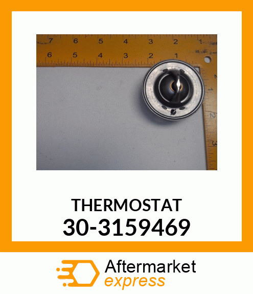 THERMOSTAT 30-3159469