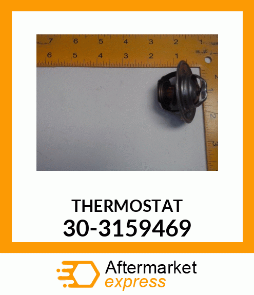 THERMOSTAT 30-3159469