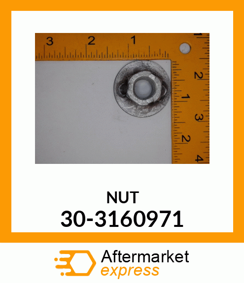 NUT 30-3160971