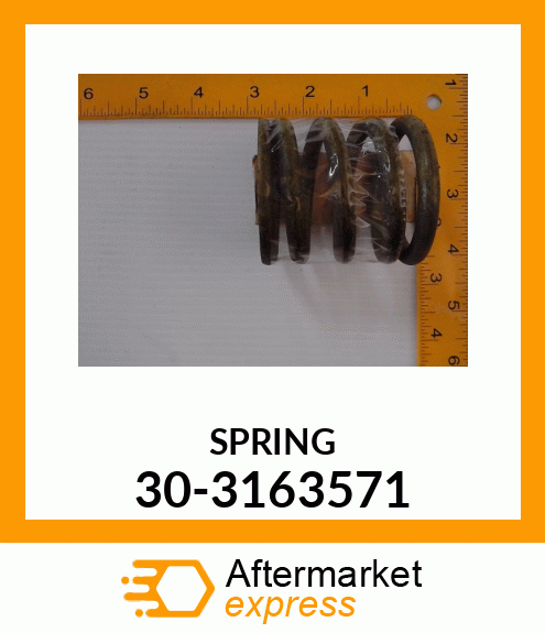 SPRING 30-3163571