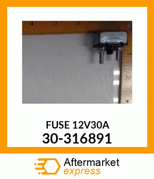 FUSE 12V30A 30-316891