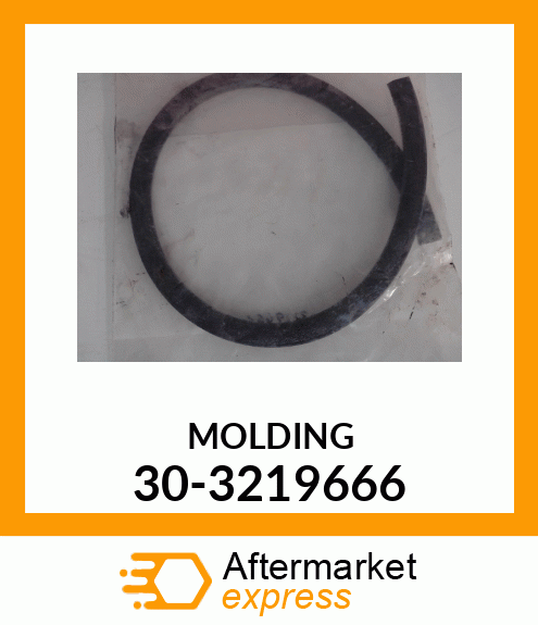 MOLDING 30-3219666