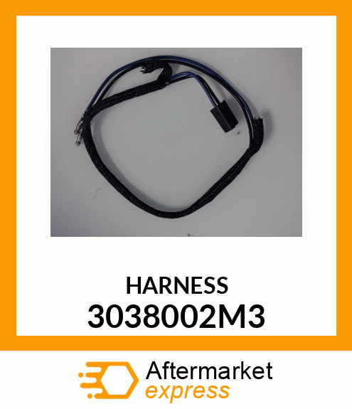 HARNESS 3038002M3