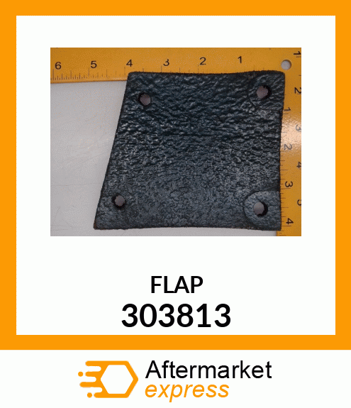 FLAP 303813